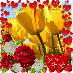 Meet your Posher, Tina